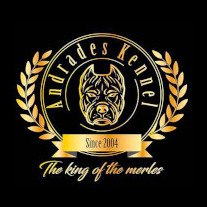 LOGO_ANDRADESKENNEL_CHICO-1